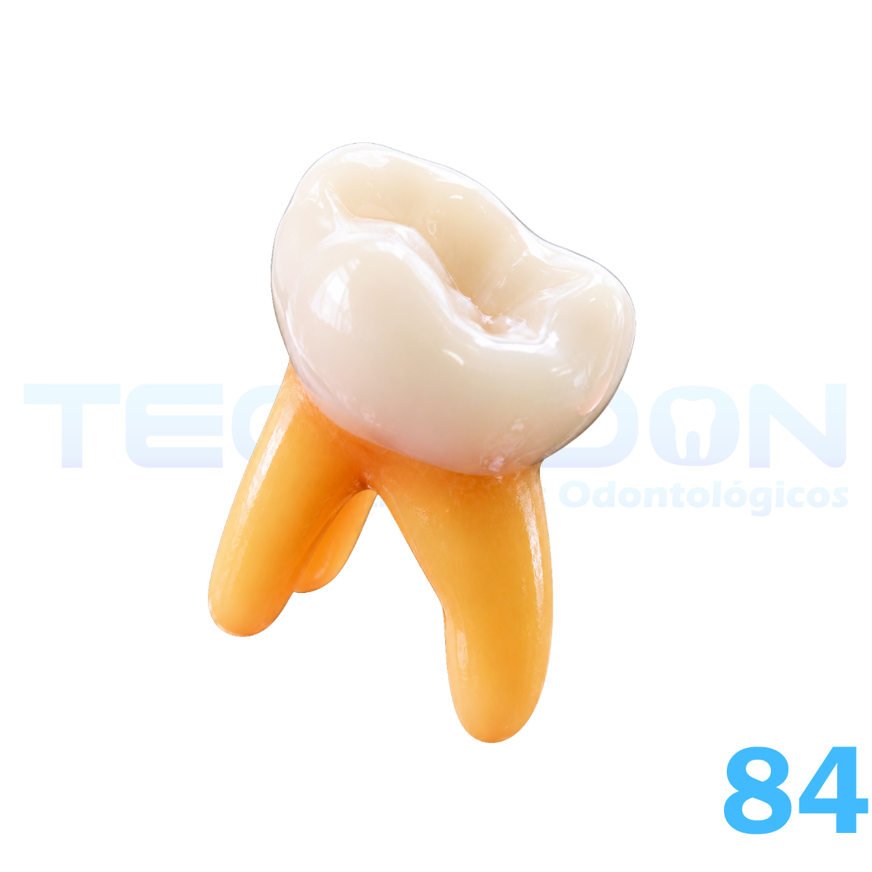 84 - 1º Molar Inferior Decíduo Opaco