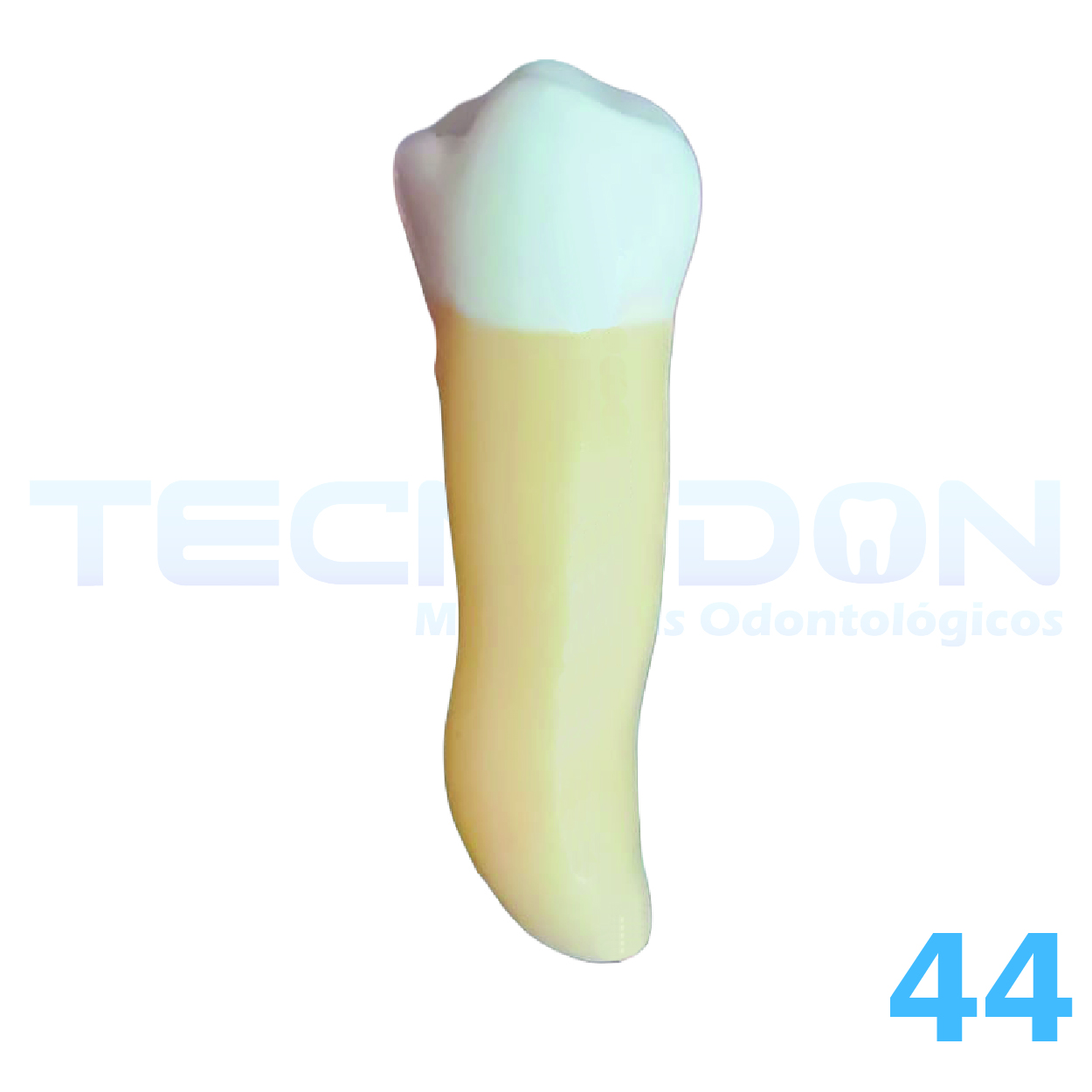 44 – 1º Pré-Molar Inferior Permanente Opaco - Imagem 3